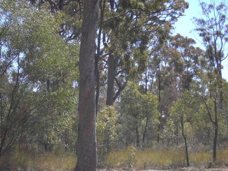 Lot 30 Millmerran Woods Road, Kooroongarra QLD 4357