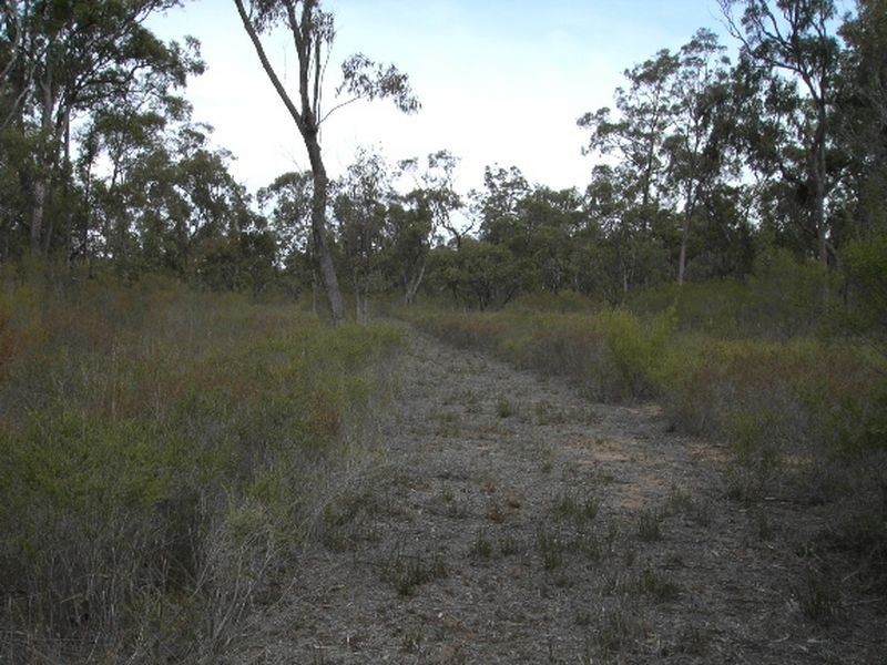 Lot 30 Millmerran Woods Road, Kooroongarra QLD 4357