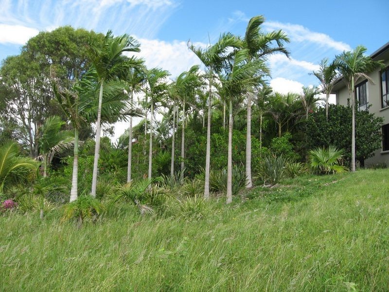 88 Tremon Road, Booral QLD 4655