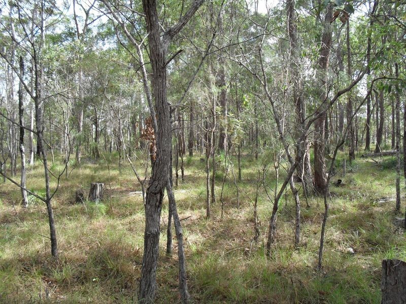 91 Melinda Road, Torbanlea QLD 4662