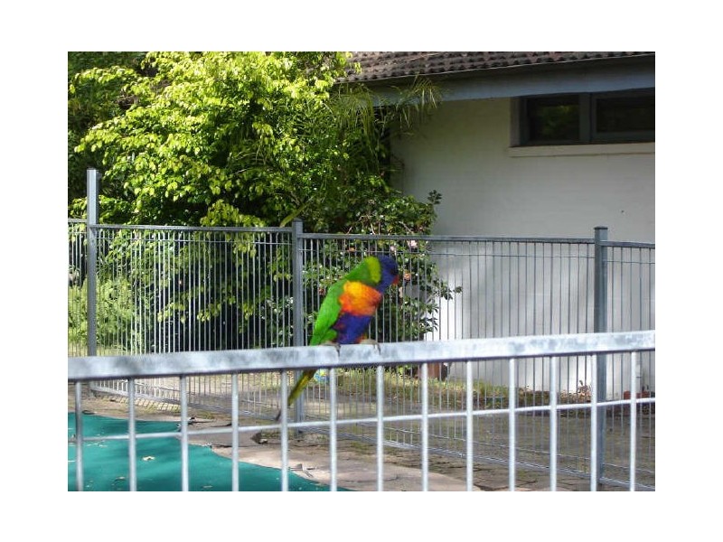 75 Athena Avenue, St Ives NSW 2075