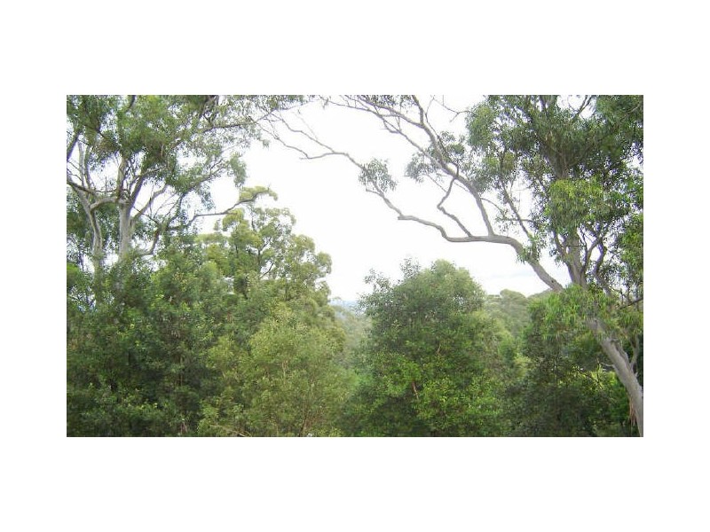 17/564 Pacific Highway, Killara NSW 2071