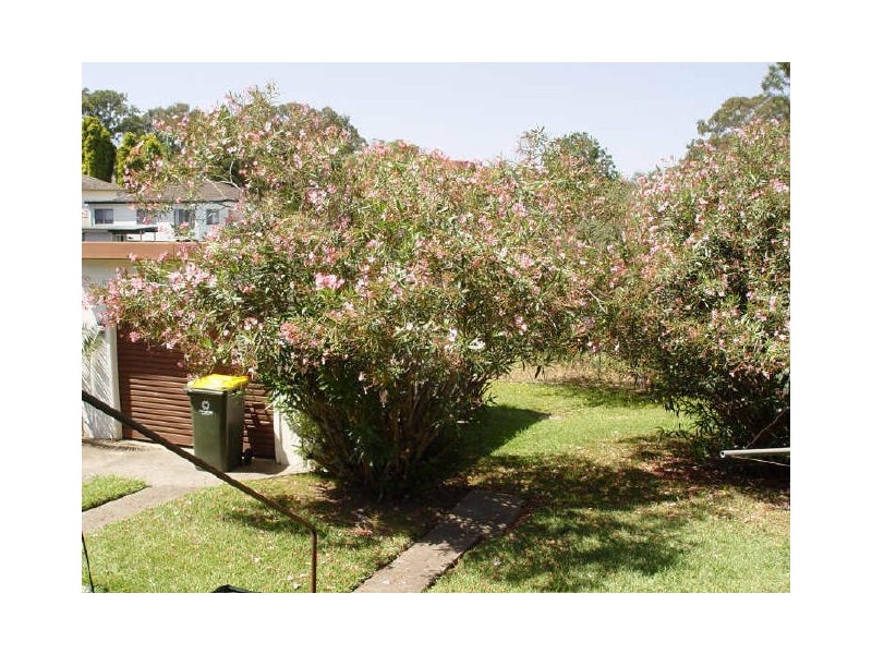 1 Regina Street, Guildford NSW 2161