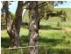 1090 Strath Creek Road, Broadford VIC 3658