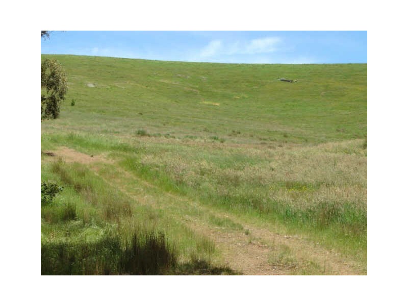 1090 Strath Creek Road, Broadford VIC 3658