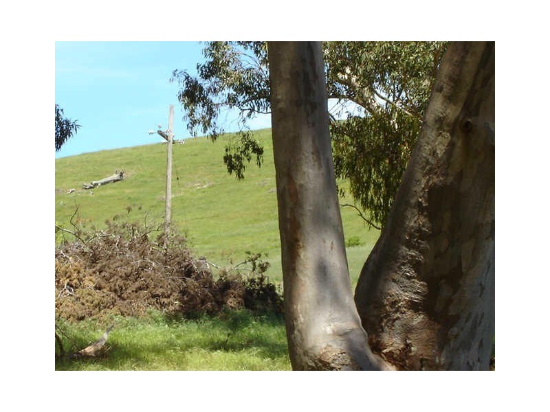 1090 Strath Creek Road, Broadford VIC 3658