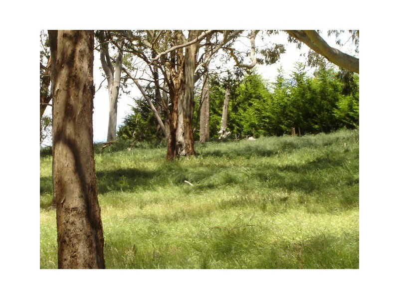 1090 Strath Creek Road, Broadford VIC 3658