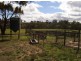 1085 Sugarloaf Ck Rd, Glenaroua VIC 3764