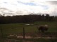 1085 Sugarloaf Ck Rd, Glenaroua VIC 3764