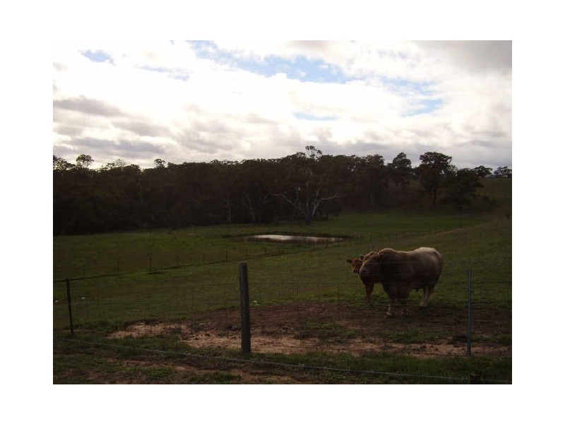 1085 Sugarloaf Ck Rd, Glenaroua VIC 3764