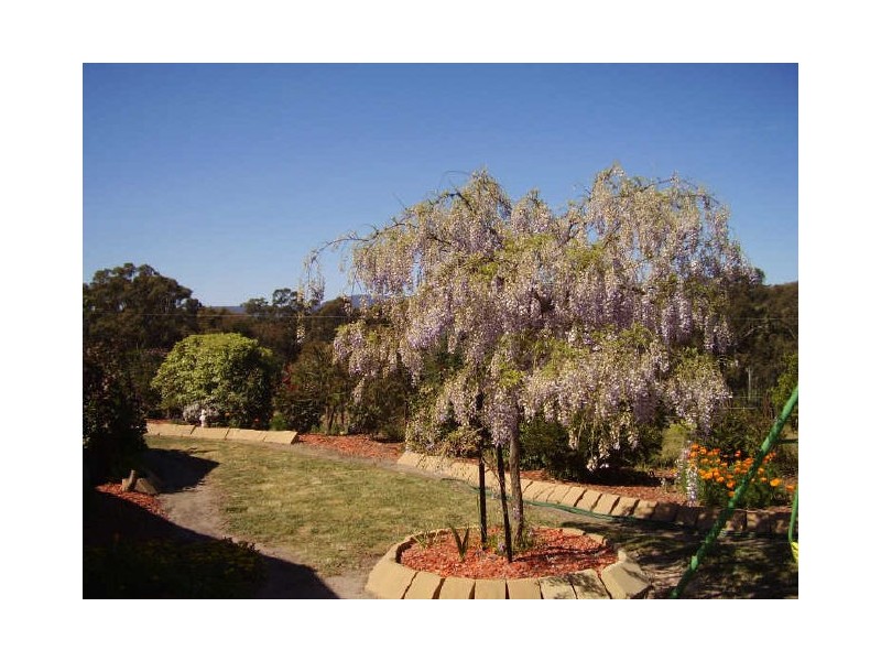 5 Blackwood Court, Broadford VIC 3658