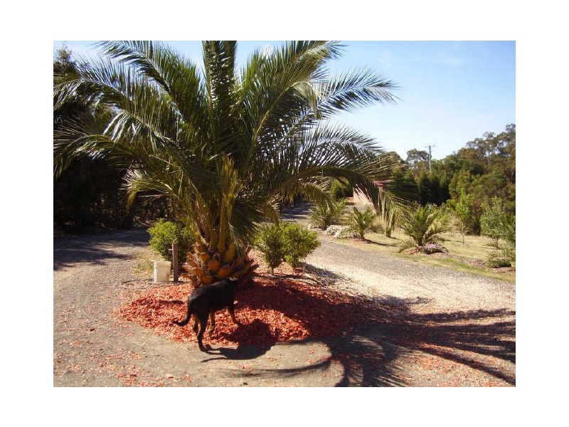 5 Blackwood Court, Broadford VIC 3658