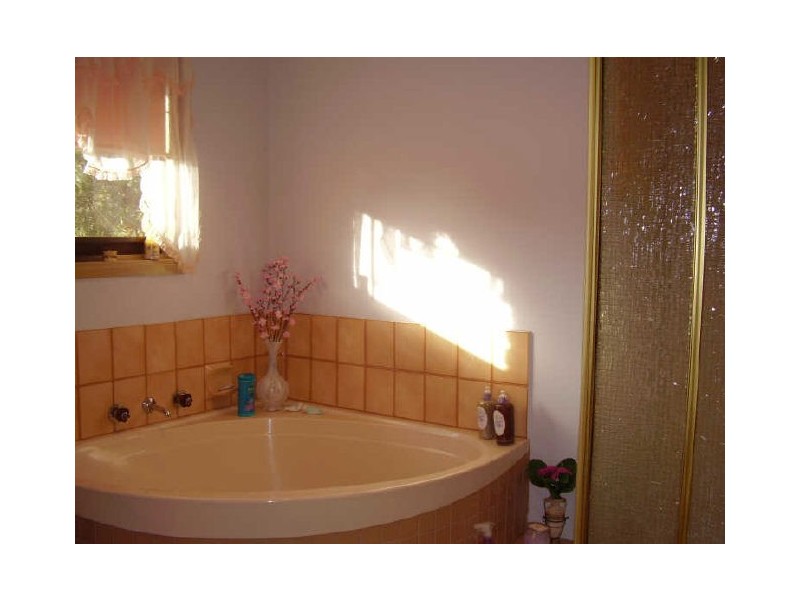 8 John Court, Clonbinane VIC 3658