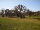 580 The Bridle Track, Glenaroua VIC 3764