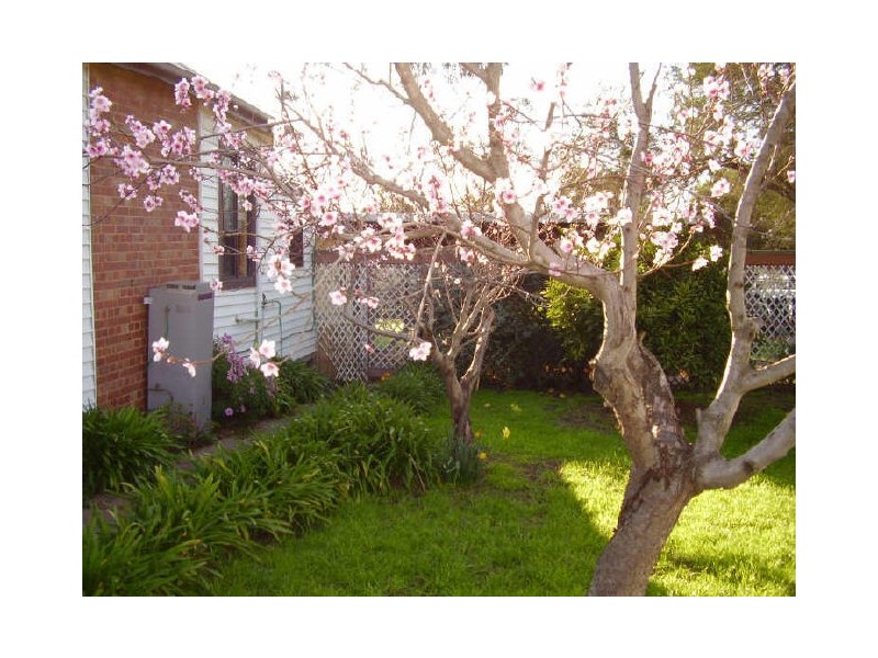 49 Ferguson Street, Broadford VIC 3658