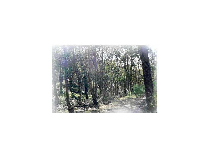 85 Doctors Creek Road, Clonbinane VIC 3658