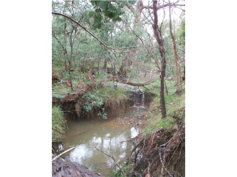 985 Strath Creek Road, Broadford VIC 3658