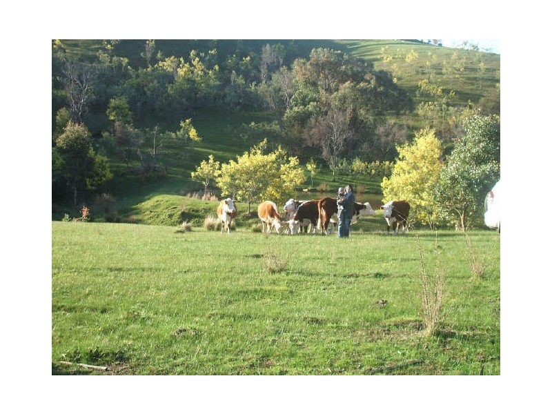 985 Strath Creek Road, Broadford VIC 3658