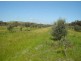 Lot 1 Avenel-Lockwood Road, Avenel VIC 3664