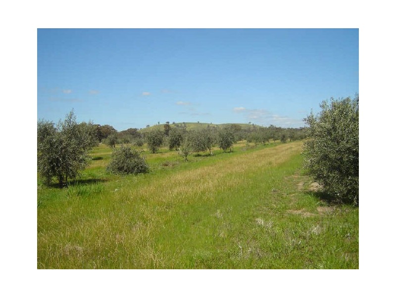 Lot 1 Avenel-Lockwood Road, Avenel VIC 3664