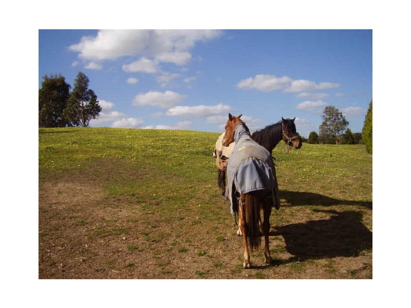 5 Wallis Road, Broadford VIC 3658