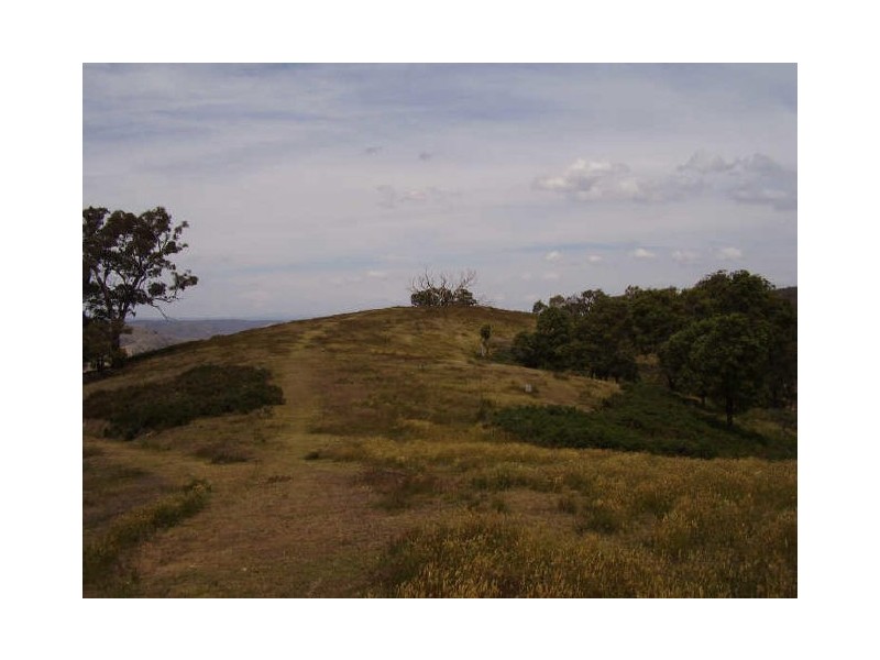 205 Murchison Spur Rd, Strath Creek VIC 3658