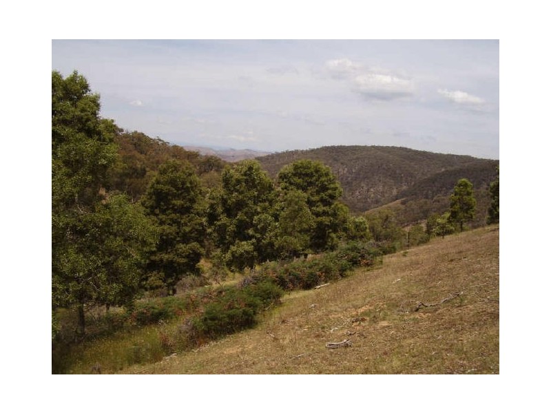 205 Murchison Spur Rd, Strath Creek VIC 3658