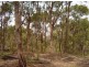 205 Murchison Spur Rd, Strath Creek VIC 3658