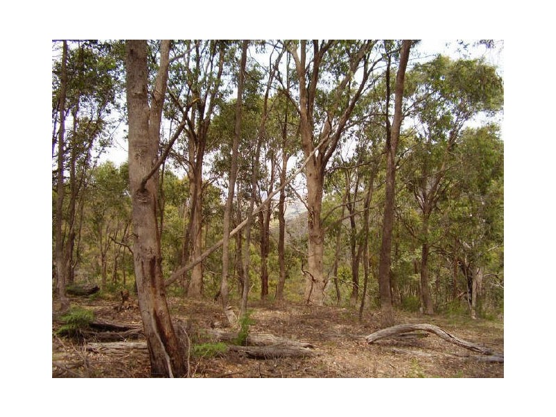 205 Murchison Spur Rd, Strath Creek VIC 3658
