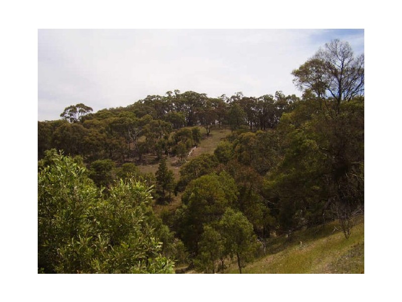 205 Murchison Spur Rd, Strath Creek VIC 3658