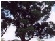Lot 172 Centenary Drive, Kilmore VIC 3764