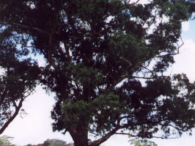 Lot 172 Centenary Drive, Kilmore VIC 3764