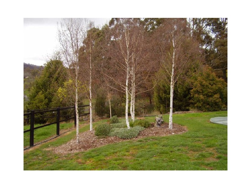 20 Doyles Road, Reedy Creek VIC 3658