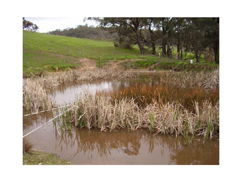 20 Doyles Road, Reedy Creek VIC 3658