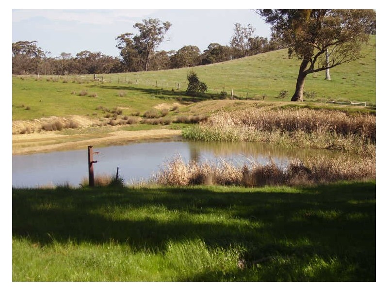 270 Marchbanks Road, Broadford VIC 3658