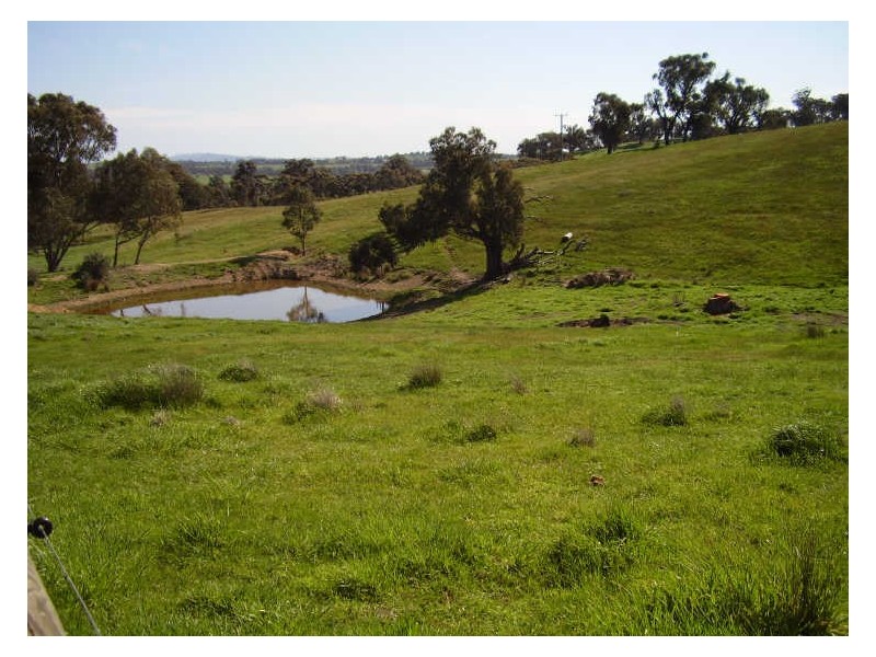 270 Marchbanks Road, Broadford VIC 3658