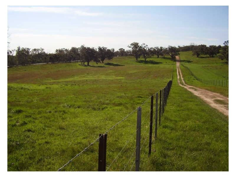 270 Marchbanks Road, Broadford VIC 3658