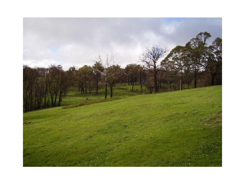 675 Spur Rd, Clonbinane VIC 3658