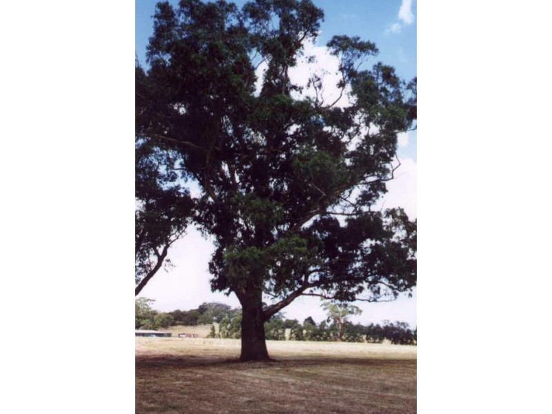Lot 160 Centenary Drive, Kilmore VIC 3764