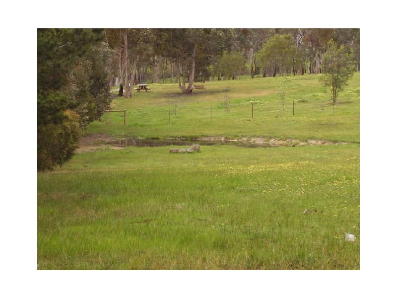 175 Ryans Road, Clonbinane VIC 3658