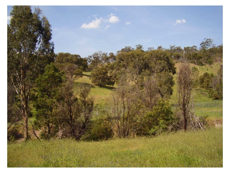 2/ Neill Rd, Clonbinane VIC 3658