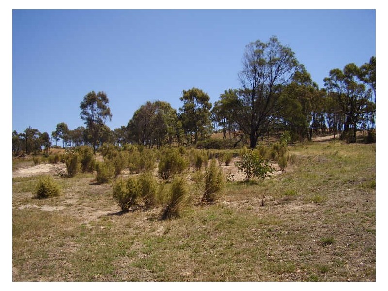 850 Davidson Street, Broadford VIC 3658