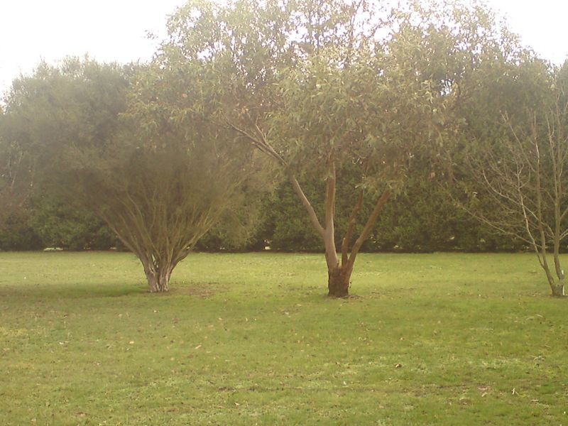 9 Graves Street, Kilmore VIC 3764