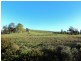 160 Neill Rd, Clonbinane VIC 3658