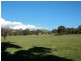 160 Neill Rd, Clonbinane VIC 3658