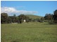 160 Neill Rd, Clonbinane VIC 3658