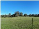 160 Neill Rd, Clonbinane VIC 3658