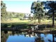 160 Neill Rd, Clonbinane VIC 3658