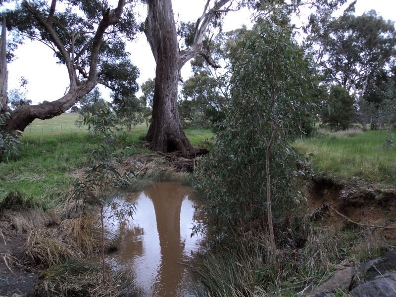 373 Selection Road, Broadford VIC 3658