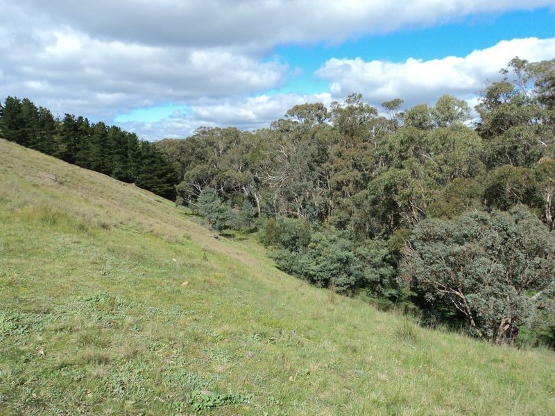 20 Scullys Lane, Broadford VIC 3658